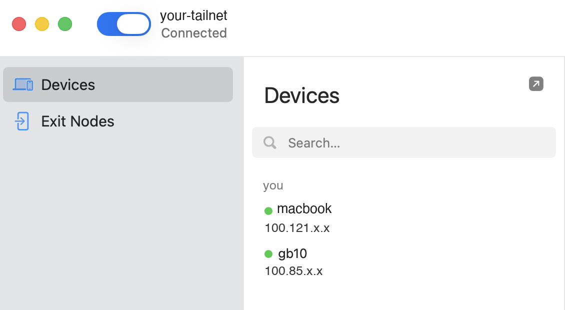 Both machines listed in the Tailscale client, each with a stable 100.x address